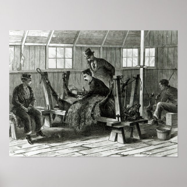 Taking virus from the calf poster (Front)