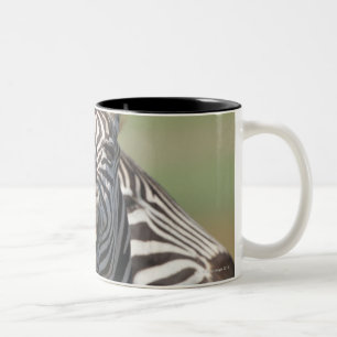 Tala Private Reserve, Kwazulu Natal, South Two-Tone Coffee Mug