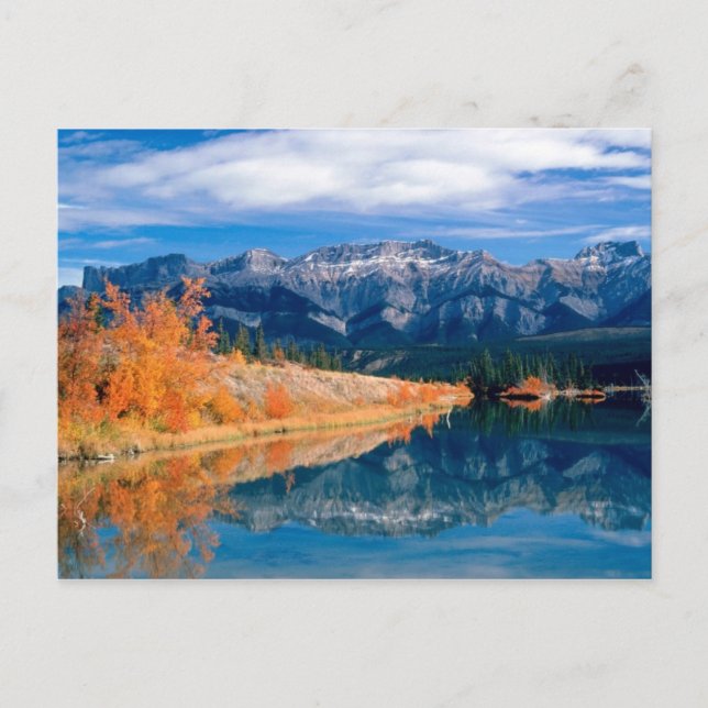 Talbot Lake Jasper Alberta ,Canada Postcard (Front)