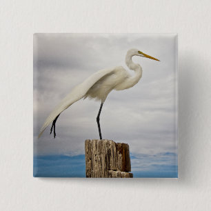 Talented Egret Fort Myers Beach, Florida 2 Inch Square Button