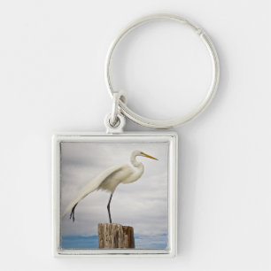 Talented Egret   Fort Myers Beach, Florida Keychain