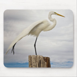 Talented Egret Fort Myers Beach, Florida Mouse Pad