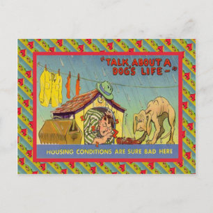 Talk about a dog's life... postcard