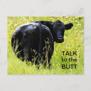 Talk to the Butt - Angus Cow Postcard