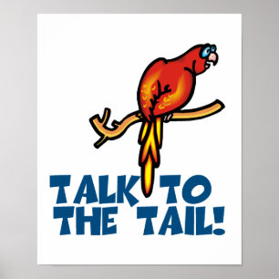 Talk to the Tail Parrot Poster