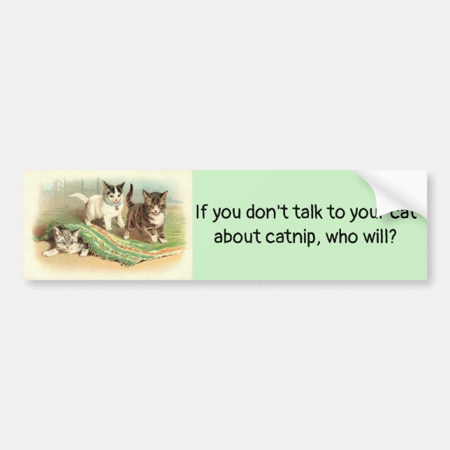 Talk to Your Cat About Catnip, Bumper Sticker (Front)