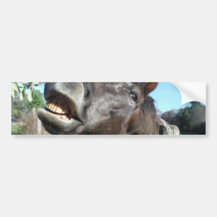 Talking Brown Horse Bumper Sticker