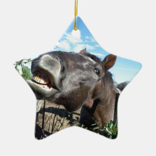 Talking Brown Horse Ceramic Ornament