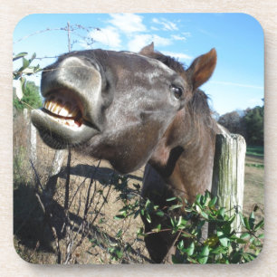 Talking Brown Horse Coaster