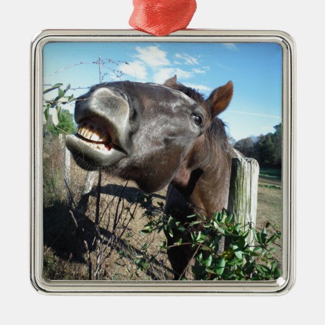 Talking Brown Horse Metal Ornament (Front)