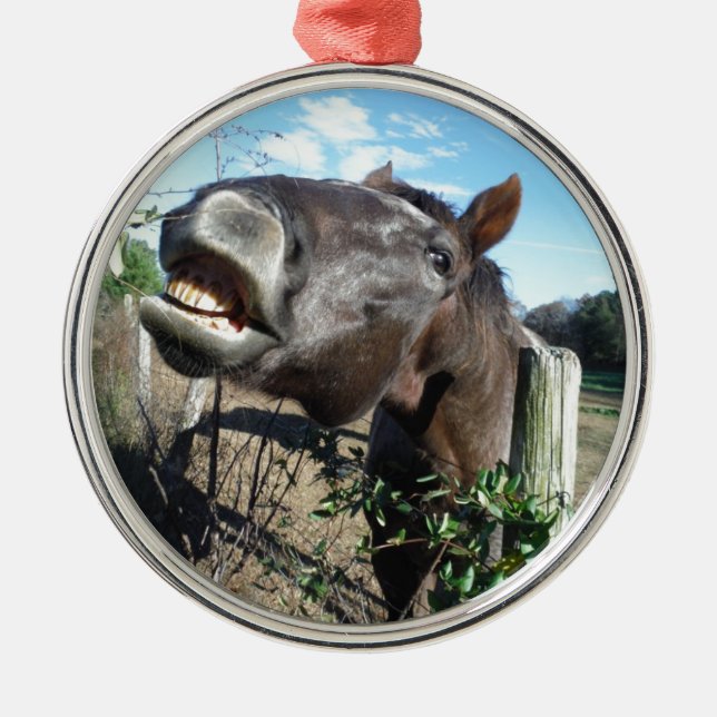 Talking Brown Horse Metal Ornament (Front)