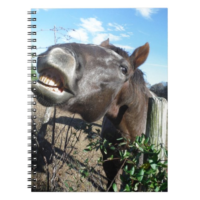 Talking Brown Horse Notebook (Front)