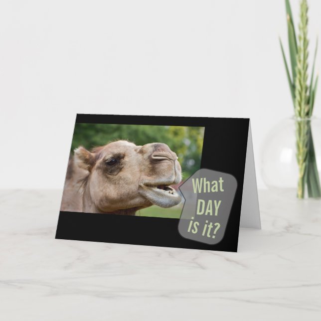 Talking Camel What Day Is It? Photo Greeting Cards (Front)