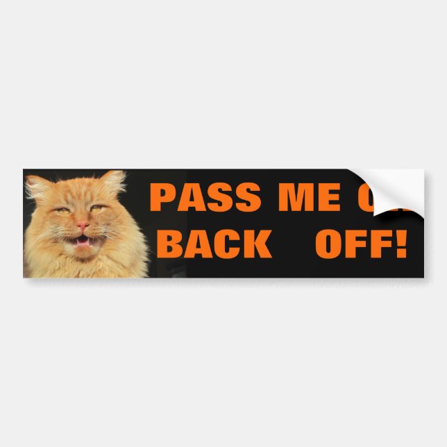 Talking Cat says "Pass or back off" Bumper Sticker (Front)