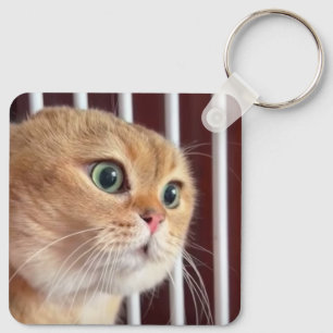Talking Cats Meme Double Sided Keychain