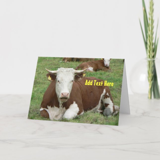 Talking Cow Greeting Card (Front)