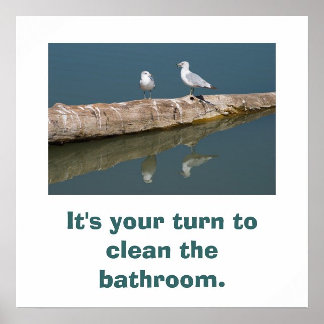 Talking Gull Poster (Front)