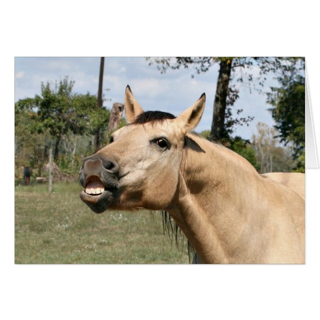 Talking horse (Front Horizontal)