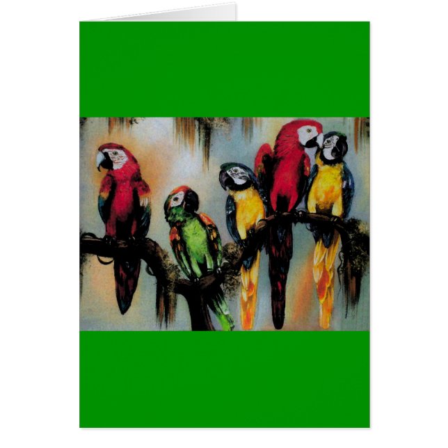 Talking Parrots ~ Card (Front)