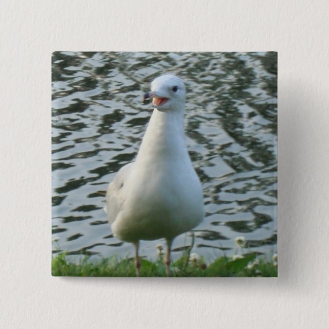 Talking Seagull 2 Inch Square Button (Front)