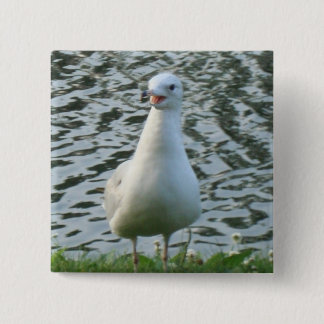 Talking Seagull 2 Inch Square Button