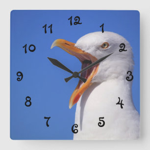 Talking Seagull Square Wall Clock
