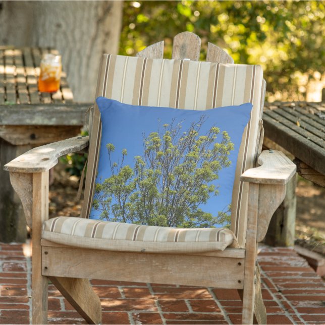 Tall Ash Tree In The Beautiful Blue Sky Photo  Outdoor Pillow (Chair)