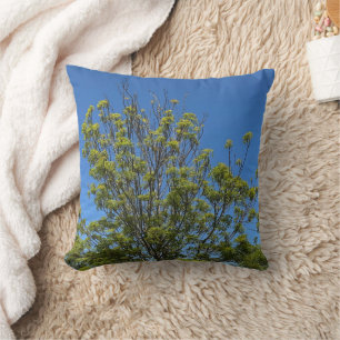 Tall Ash Tree In The Beautiful Blue Sky Photo Throw Pillow