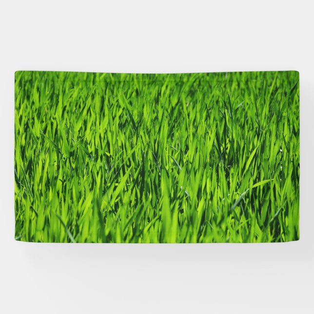 Tall Blades of Grass Banner (Horizontal)