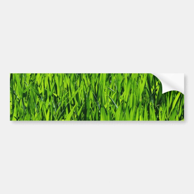 Tall Blades of Grass Bumper Sticker (Front)
