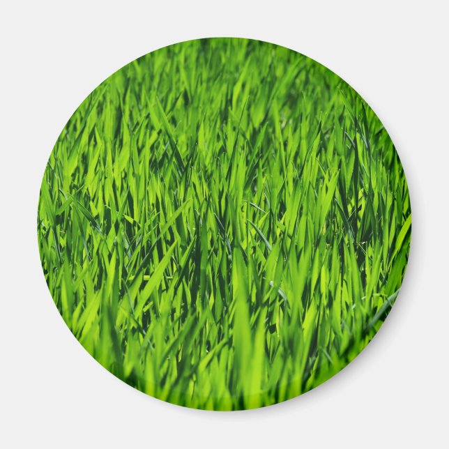 Tall Blades of Grass Magnet (Front)