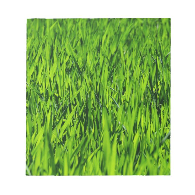 Tall Blades of Grass Notepad (Front)