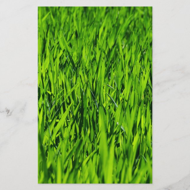 Tall Blades of Grass Stationery (Front)