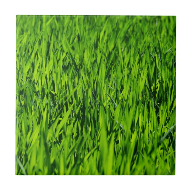 Tall Blades of Grass Tile (Front)