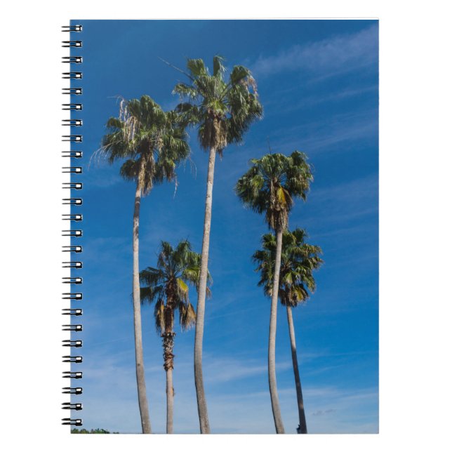 Tall Curving Palms Notebook (Front)