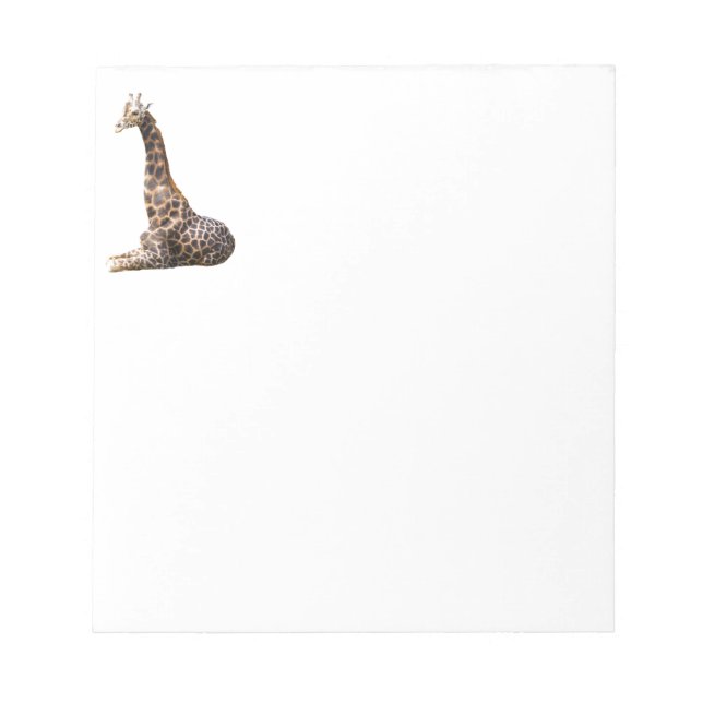 Tall Cute Giraffe Real Animal Photo Notepad (Front)