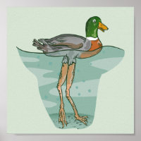 Tall duck with long legs