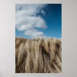Tall grass under cumulus clouds poster