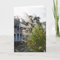 Tall Grasses Arched Windows - Martha's Vineyard