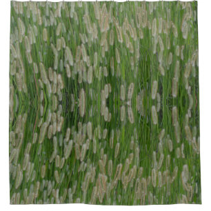 Tall Green Grasses Seeds