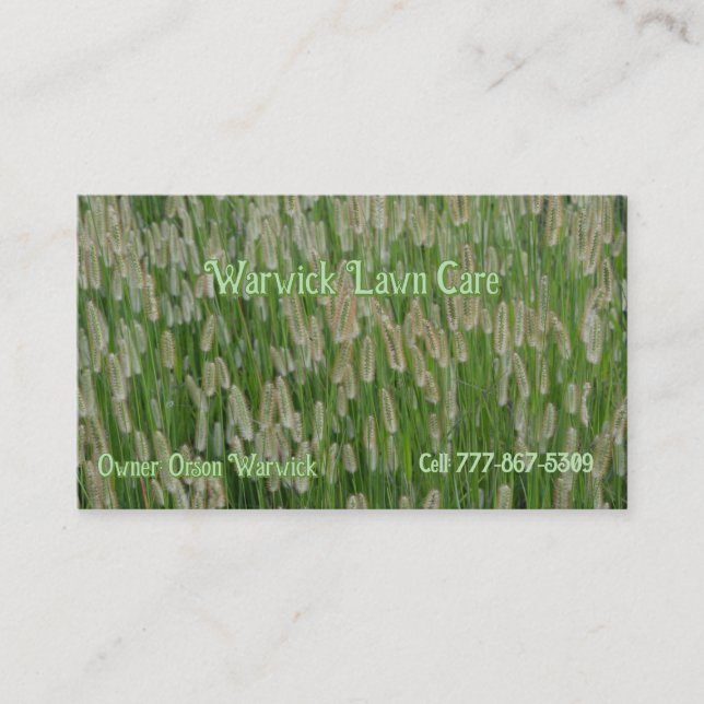 Tall Green Grasses Seeds Business Card (Front)
