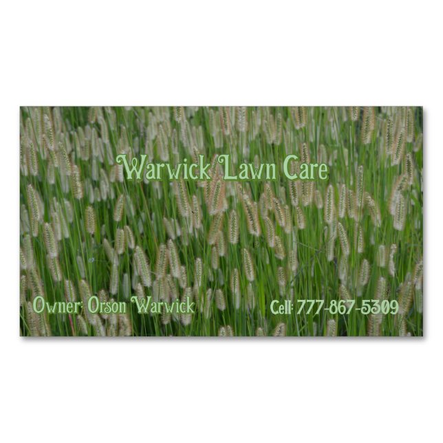 Tall Green Grasses Seeds Magnetic Business Card (Front)