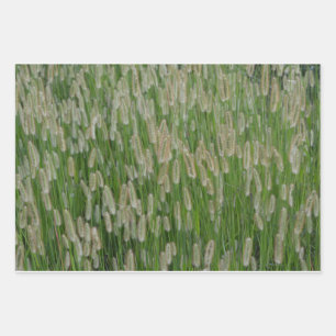 Tall Green Grasses Seeds Wrapping Paper Sheet