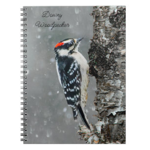 tall notebook