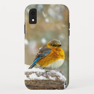Tall Phone 1 iPhone XR Case