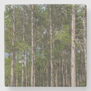 Tall Pines Stone Coaster