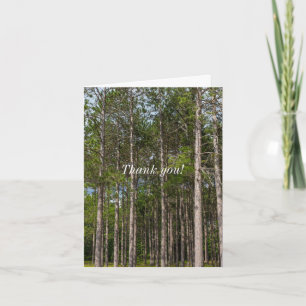 Tall Pines Thank You Card