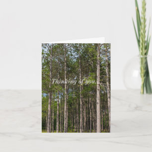 Tall Pines Thinking Of You Card