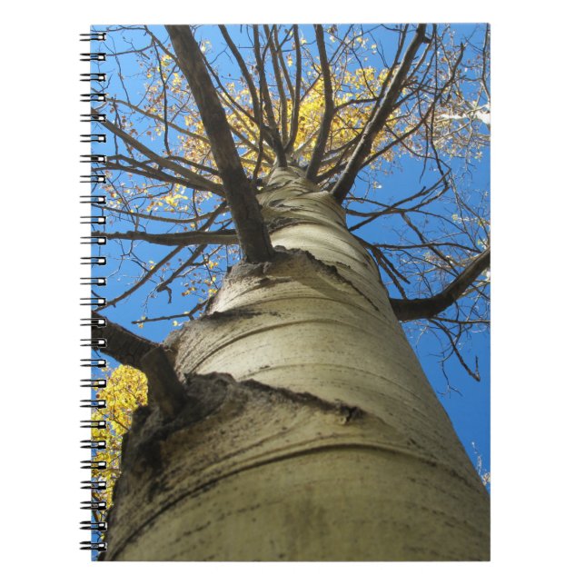 Tall Quaking Aspen Tree Notebook (Front)