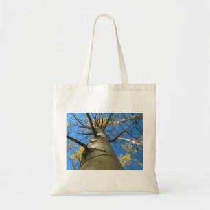 Tall Quaking Aspen Tree Tote Bag